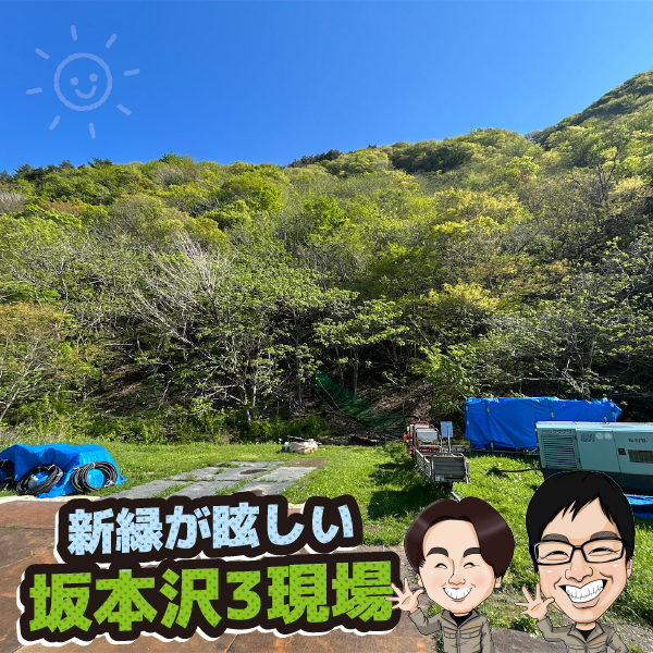 ブログ